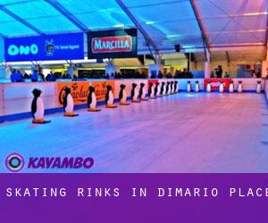 Skating Rinks in Dimario Place