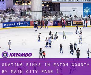 Skating Rinks in Eaton County by main city - page 1