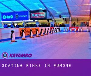 Skating Rinks in Fumone