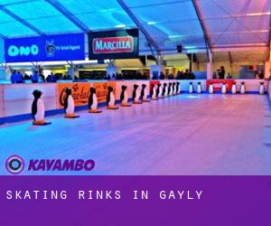 Skating Rinks in Gayly