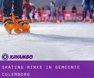 Skating Rinks in Gemeente Culemborg