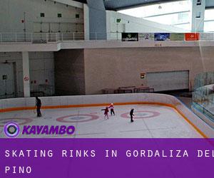 Skating Rinks in Gordaliza del Pino