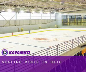 Skating Rinks in Haig