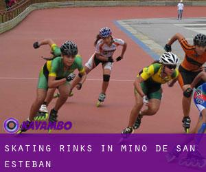 Skating Rinks in Miño de San Esteban