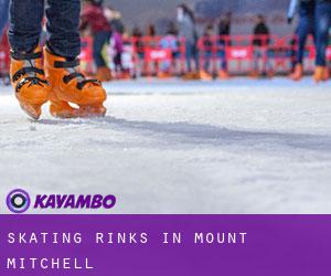 Skating Rinks in Mount Mitchell