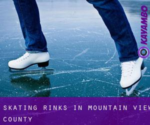 Skating Rinks in Mountain View County
