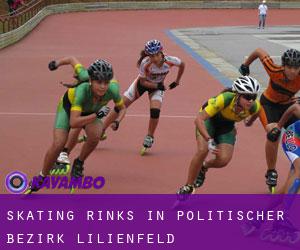 Skating Rinks in Politischer Bezirk Lilienfeld