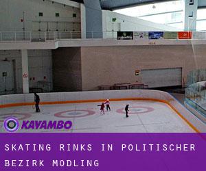 Skating Rinks in Politischer Bezirk Mödling