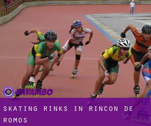 Skating Rinks in Rincón de Romos