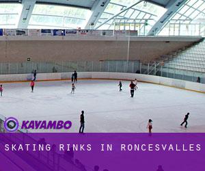 Skating Rinks in Roncesvalles