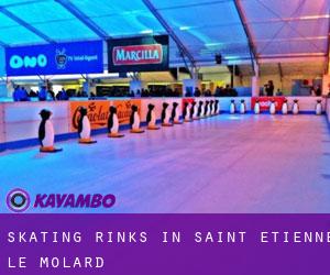 Skating Rinks in Saint-Étienne-le-Molard