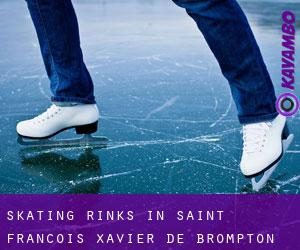 Skating Rinks in Saint-François-Xavier-de-Brompton