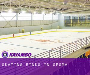 Skating Rinks in Sesma