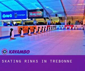 Skating Rinks in Trebonne