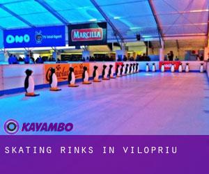 Skating Rinks in Vilopriu