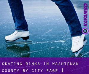 Skating Rinks in Washtenaw County by city - page 1
