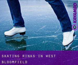 Skating Rinks in West Bloomfield