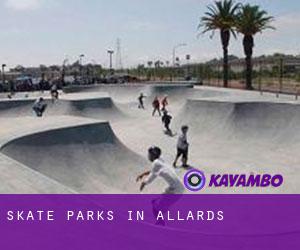 Skate Parks in Allards