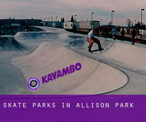 Skate Parks in Allison Park