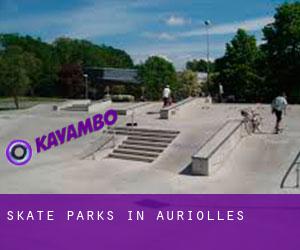 Skate Parks in Auriolles