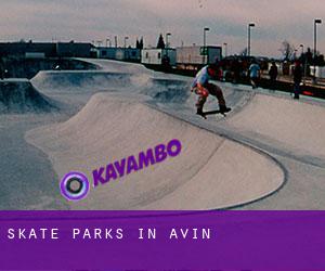Skate Parks in Avin