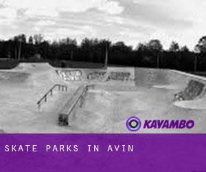 Skate Parks in Avin