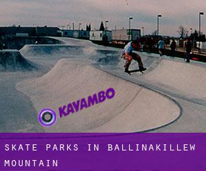 Skate Parks in Ballinakillew Mountain