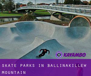 Skate Parks in Ballinakillew Mountain