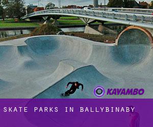 Skate Parks in Ballybinaby