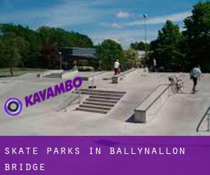 Skate Parks in Ballynallon Bridge