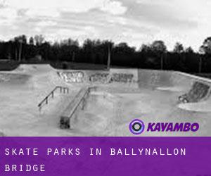 Skate Parks in Ballynallon Bridge