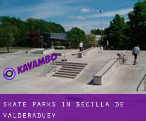 Skate Parks in Becilla de Valderaduey