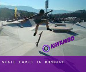 Skate Parks in Bonnard