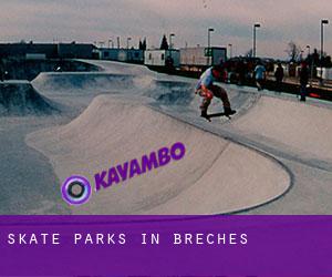 Skate Parks in Brèches