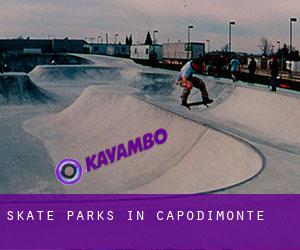 Skate Parks in Capodimonte