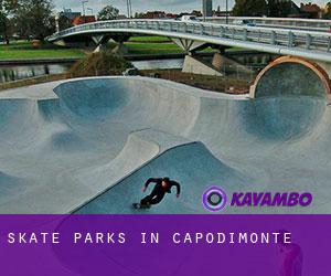 Skate Parks in Capodimonte