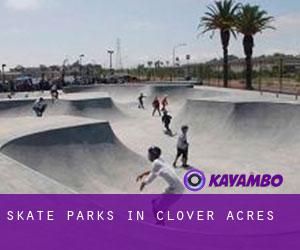 Skate Parks in Clover Acres