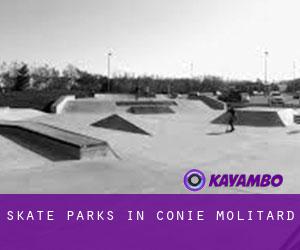 Skate Parks in Conie-Molitard