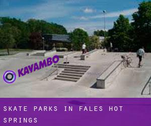 Skate Parks in Fales Hot Springs