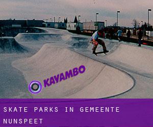 Skate Parks in Gemeente Nunspeet