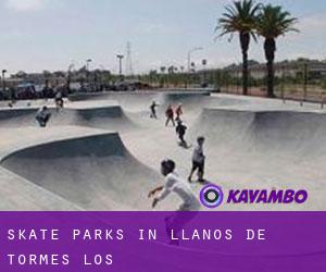 Skate Parks in Llanos de Tormes (Los)