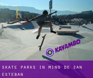 Skate Parks in Miño de San Esteban