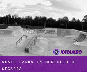 Skate Parks in Montoliu de Segarra