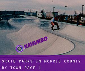 Skate Parks in Morris County by town - page 1