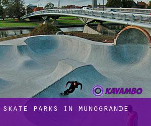 Skate Parks in Muñogrande