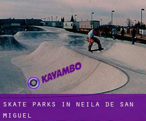 Skate Parks in Neila de San Miguel