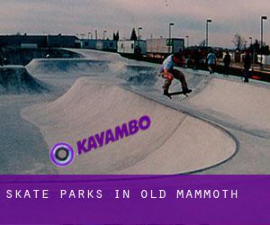 Skate Parks in Old Mammoth