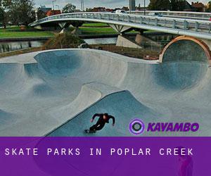 Skate Parks in Poplar Creek