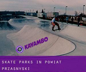 Skate Parks in Powiat przasnyski