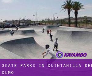 Skate Parks in Quintanilla del Olmo